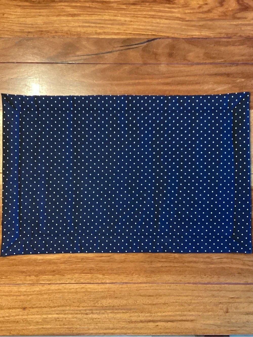 Handmade Ladybug Cotton Placemat and Napkin Set